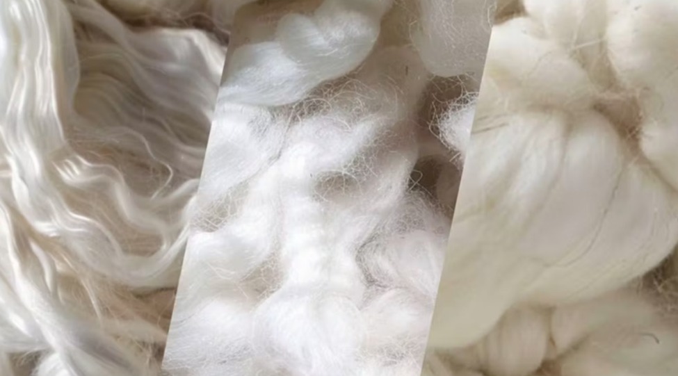 Cotton Fiber